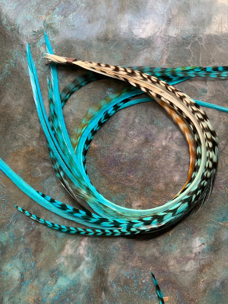 Puede incluir: Un manojo de plumas de color azul turquesa y negro con puntas blancas. Las plumas est&aacute;n dispuestas en c&iacute;rculo y tienen un aspecto natural y r&uacute;stico.