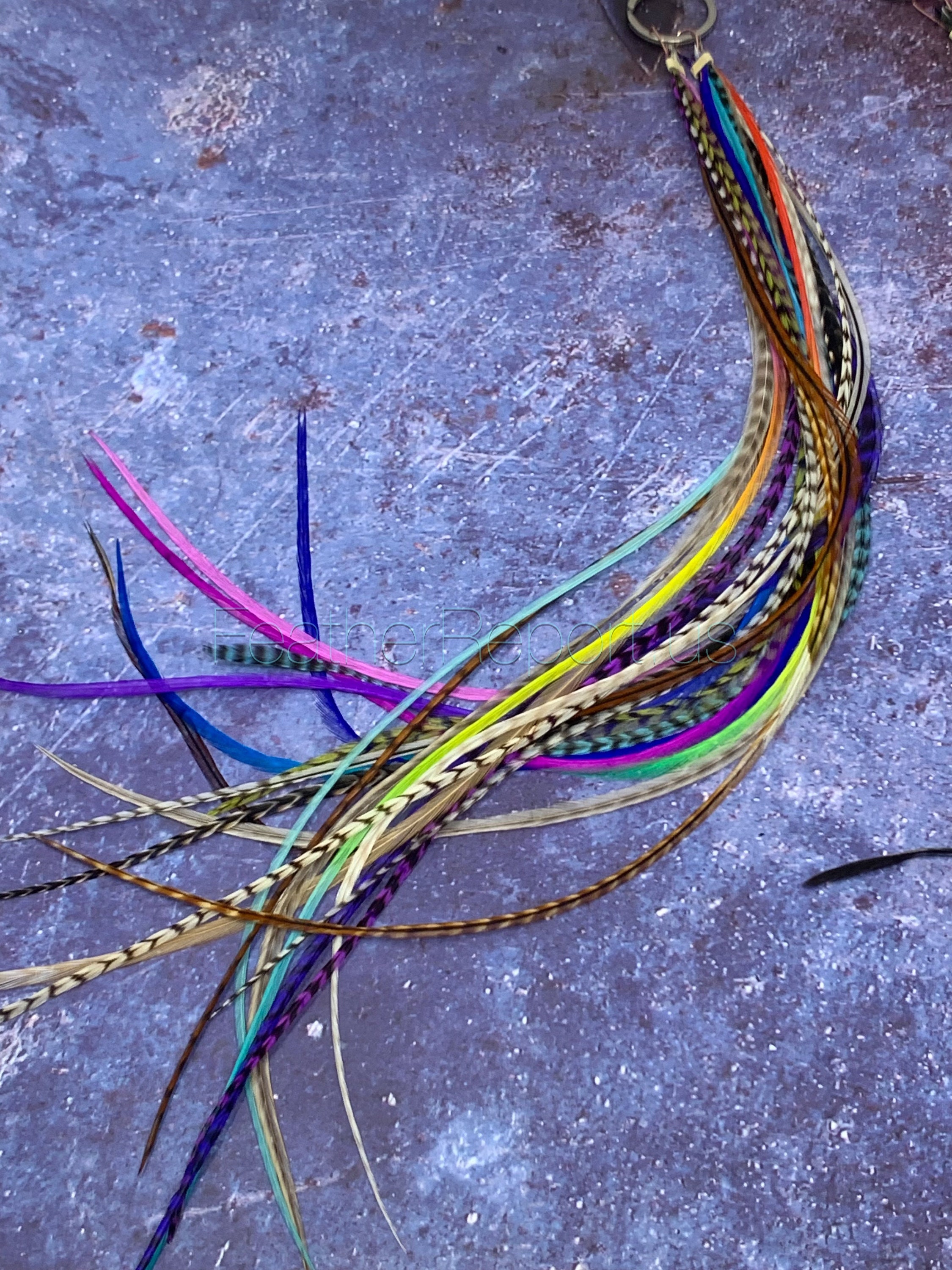 Rooster feather extensions cheap