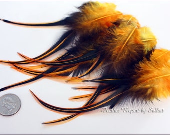 Aztec Gold Craft Feathers Wholesale Golden Orange Color Feather Craft Supplies Laced Rooster Saddle Golden Orange Feathers QTY12