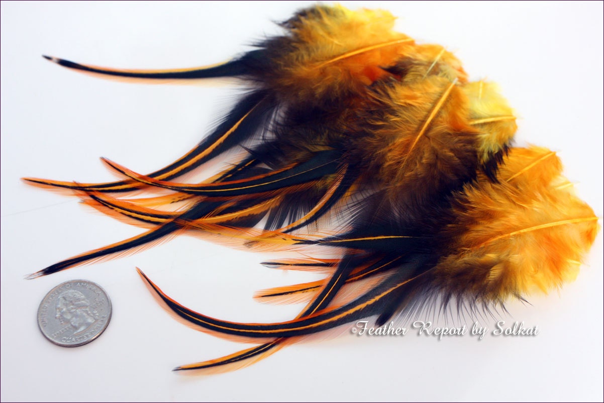 Bulk Natural Craft Feathers DIY Extensions Earrings Real Rooster