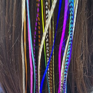 Long Feathers for Hair Extensions Rainbow Natural Mix of 20 Premium Quality XXL Hair Feathers Blues Purples Pinks Grizzly Solid 14to17inches