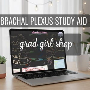 May include: A laptop displaying a "Brachial Plexus Study Aid" diagram, with the text "grad girl shop" overlaid. A small succulent in a two-tone pot, a white mug with pencils, and books are on the wooden desk.