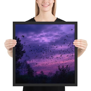 Sciame di pipistrelli al crepuscolo – Scena suggestiva del cielo di Halloween
