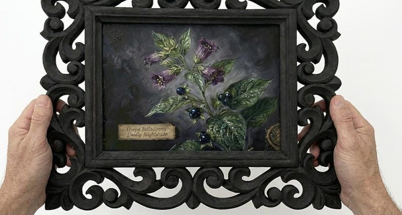 May include: A framed botanical painting of Deadly Nightshade, featuring purple bell-shaped flowers and dark berries. The painting is set in a black ornate frame, held by hands.