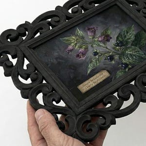 May include: A dark, ornate wooden frame surrounds a botanical illustration of purple belladonna flowers and dark berries. The artwork is set against a dark background, with a small label reading "Atropa belladonna Deadly Nightshade."