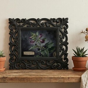 May include: A framed botanical print with a dark, ornate frame. The print features a detailed illustration of a plant with purple flowers and black berries. The scene includes potted succulents, a candle, and dried flowers.