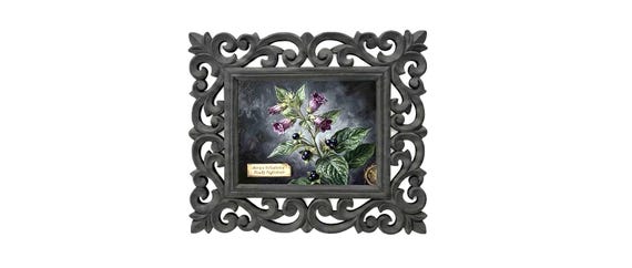 Belladonna Art Print, Gothic Botanical Decor, Witchy Wall Art, Poison Garden Gift, Deadly Nightshade Painting, Hand Carved Framed Wall Art