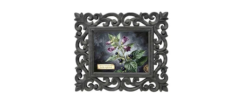 May include: A framed botanical print featuring a detailed illustration of a plant with purple flowers and black berries. The print is set within a dark gray, ornate, scrollwork frame, creating a vintage aesthetic. The text on the print reads "Atropa Belladonna Deadly Nightshade."