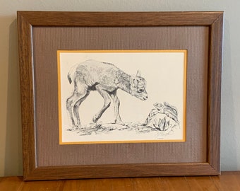 Claudia Heaston Thol Arts Wildlife Print Signed By Artist