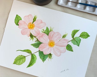 Pink Wild Roses Original Watercolor Painting. 12 x 9. Unframed.