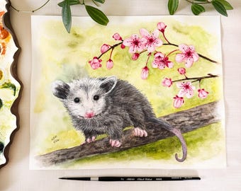 Opossum On Cherry Blossom Branch Original Watercolor Painting. 10 x 8. Unframed.