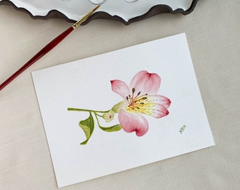 Alstroemeria Flower Original Watercolor Painting. 7 x 5. Unframed.