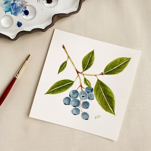 Blueberries Watercolor Fine Art Print. Botanical Unframed 5x5 Artwork For Your Kitchen Or A Great Gift.