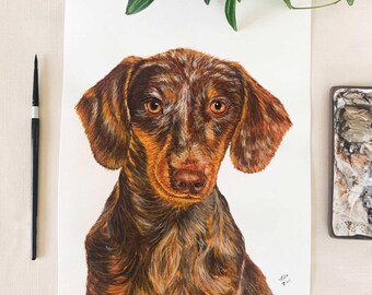 Brown Dachshund Original Watercolor Painting. 9 x 12. Unframed.