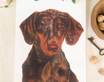 Brown Dachshund Watercolor Art Print. Pet Lover Wall Decor. 8 x 10 Unframed.