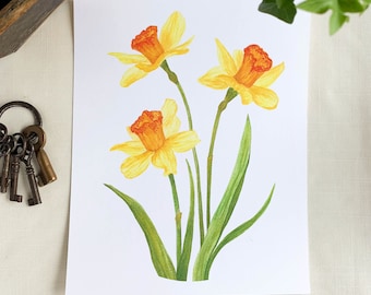 Spring Daffodils Watercolor Fine Art Print. Botanical Unframed 8x10 Artwork For Your Home Or A Great Gift.