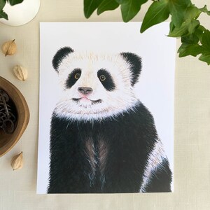 Baby Panda Watercolor Art Print. Endangered Bear Animal Nursery Collection. 8 x 10. Unframed Bedroom Wall Decor.
