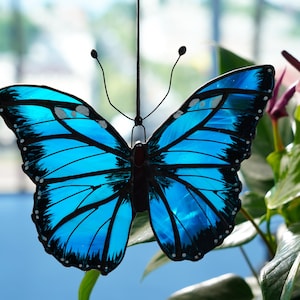 Morpho Menelaus Butterfly Suncatcher, Blue Stained Glass Wall Art, Window Hanging Decor, Stained Glass Green Butterfly,  Bonus Mom Gift