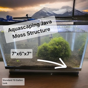 Puede incluir: Un acuario rectangular de cristal que contiene una estructura de musgo de Java verde sobre un sustrato oscuro. El tanque muestra el texto Aquascaping Java Moss Structure, 17,8 cm x 15,2 cm x 17,8 cm y Standard 37,8 Litros, con una flecha blanca.