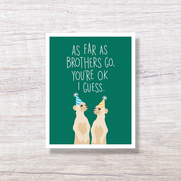 Meerkat Birthday Card for Brother, Funny Card from Brother, from Sister - D355