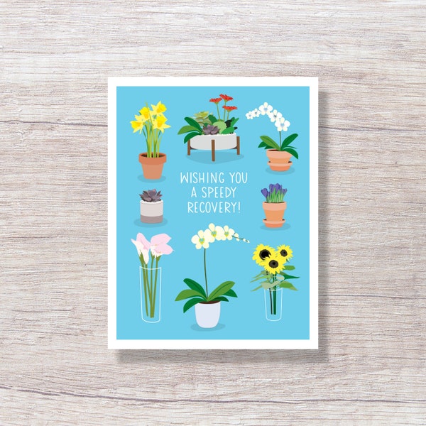 POTTED FLOWERS Speedy Recovery, General Get Well Card - D344