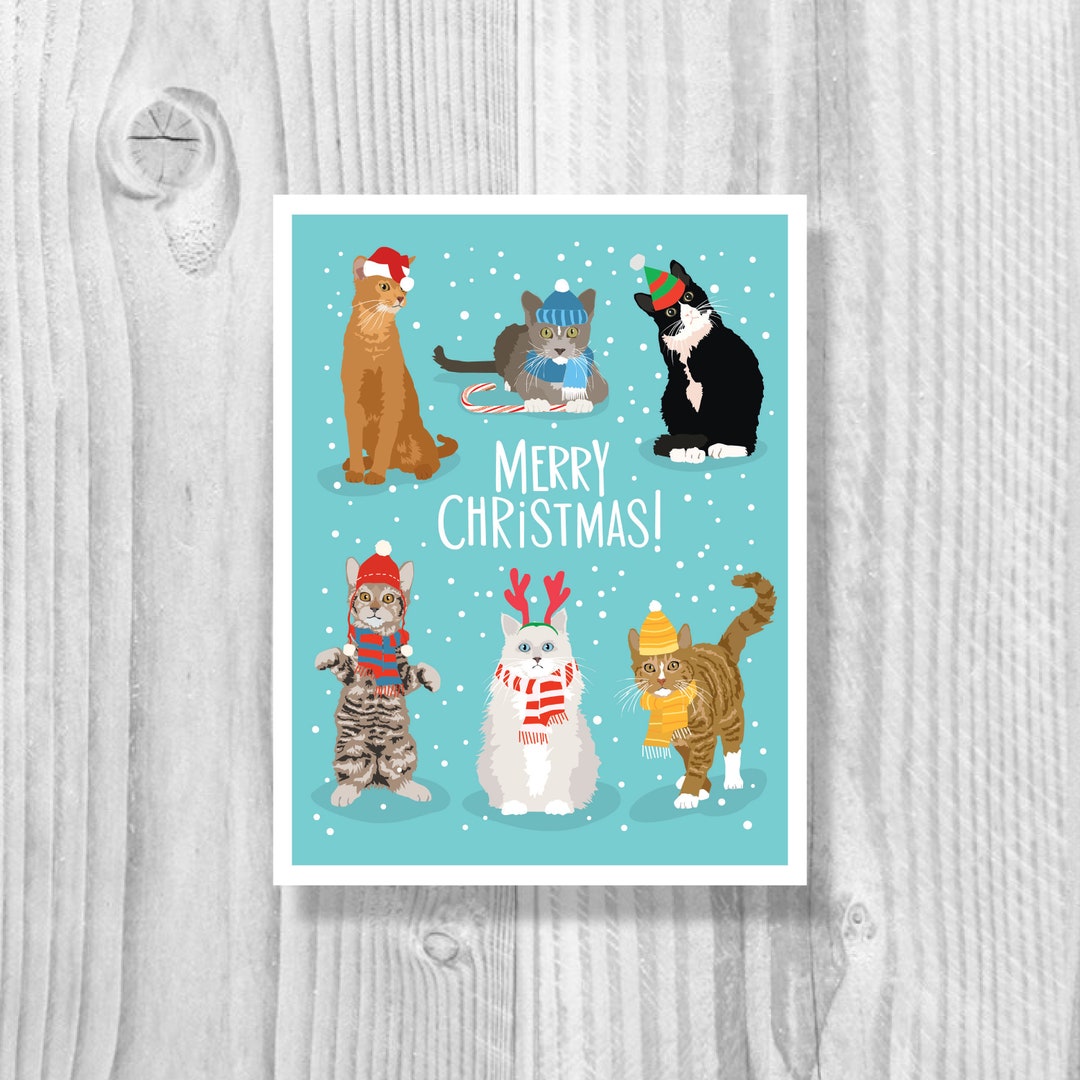 Christmas Cats Holiday Cards - Single Card or Boxed Set Funny Christmas ...