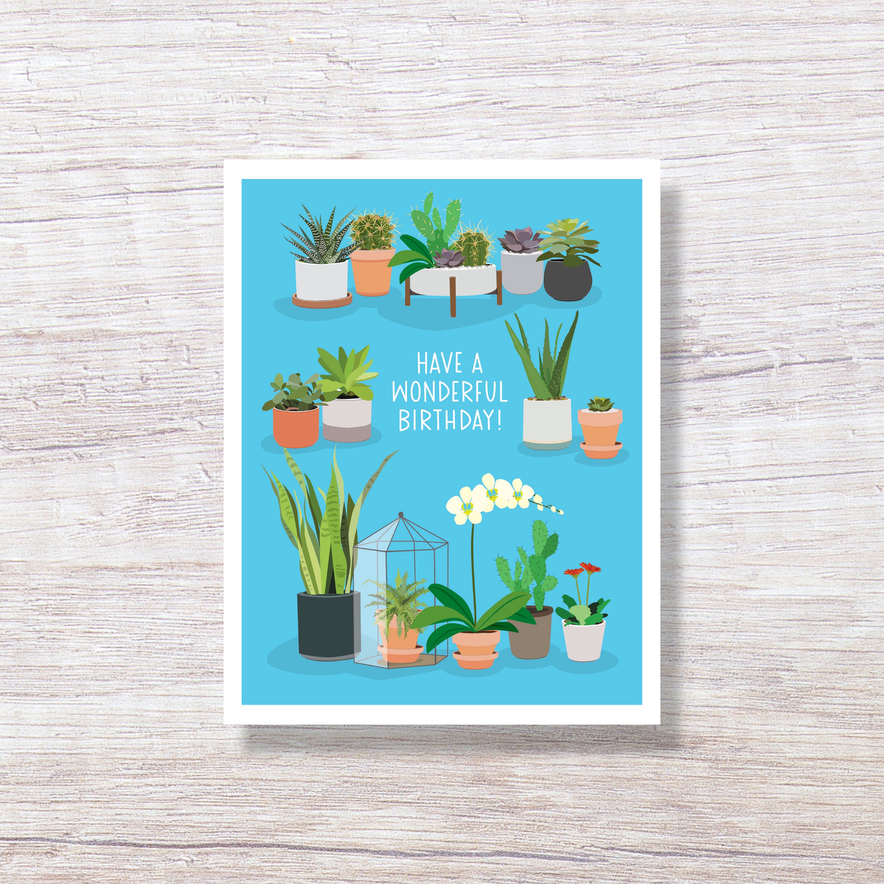 Succulent Birthday Card - hand drawn card for lover of plants and succulents - D334