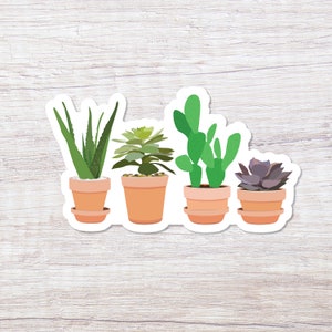 Succulent, Vinyl Sticker - ST167