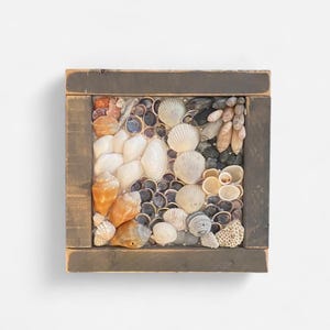 Può includere: Opera d'arte quadrata con cornice in legno scuro, riempita con conchiglie, ciottoli e piccole pietre. Le conchiglie sono bianche, beige e arancioni, con ciottoli blu scuro e neri. La cornice è in legno invecchiato.