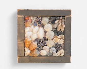 手作りの貝殻シャドーボックス - 海岸沿いのビーチウォールアート - 素朴な木製フレームの海風装飾