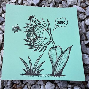 May include: A square light green print featuring a black ink illustration of a plant with a spider web on its petals. A small bee flies toward the plant, which has a thought bubble containing the word JERK. Grass is visible at the base.