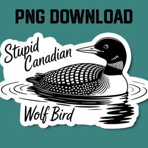 Könnte beinhalten: Schwarz-Weiß-Illustration eines Eistauchers, der auf dem Wasser schwimmt, mit dem Text "Stupid Canadian Wolf Bird" und "PNG DOWNLOAD". Der Eistaucher hat einen schwarzen Kopf und einen gemusterten Körper. Der Hintergrund ist türkis.