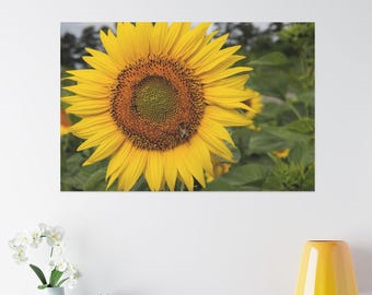 Bee in Sunflower Canvas Print: Close-Up Nature Photography Wall Art, Sunflower Photo, Spring Time, Summer Photo