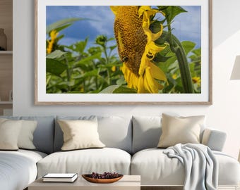 Sunflower Wall Art Canvas Print, Nature Decor, Home Office Decor, Gift for Gardeners, Floral Artwork