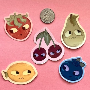 Fruit Stickers 5 pack , laptop sticker, water bottle sticker, journaling, stationary, cute fruit stickers