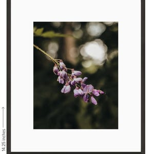 Flower Wall Art