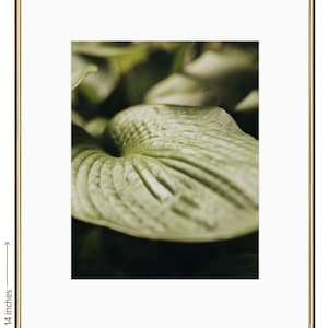 Green Foliage Wall Art
