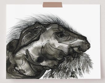 Horse Head Ink Drawing Print: Original Fine Art on Hahnemühle Paper