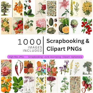 1000 Vintage Botanical Clipart Illustrations Printable Ephemera Flowers Herbs Wild Plants Retro Scrapbooking Paper Craft Journal Pack JPG