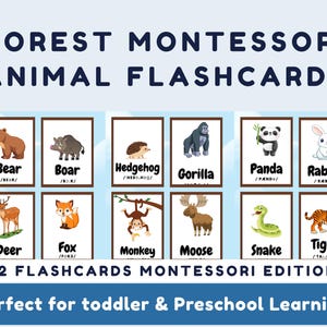 Schede didattiche con animali della foresta e della natura per bambini, materiale didattico Montessori stampabile, schede per l'istruzione prescolare e per la scuola materna