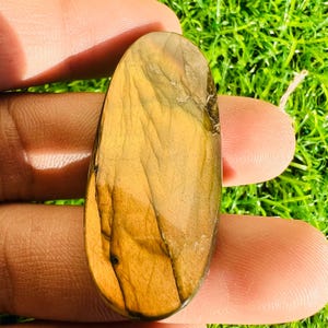 May include: A polished, oval-shaped gemstone with a golden-brown hue and intricate veining patterns. The stone is held between fingers, showcasing its natural beauty and unique characteristics. The gemstone's surface reflects light, highlighting its texture.