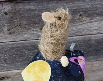 Astronomer Mouse  Pincushion