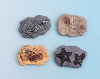 Fossil Magnets, Set of 4 Boys Locker Dinosaur Magnets, Paleontology Refrigerator Magnets, Science Nerd Gift