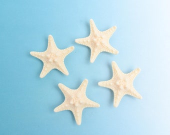 Large Starfish Magnets, Resin Sea Star Cream Refrigerator Magnets, Set of 4 Beach Magnets, Ocean Locker or Cubicle Magnets