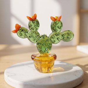 Succulent Lover Gift - 60+ Gift Ideas for 2026