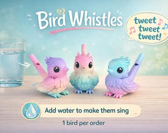 Bird Whistle Toy, 3D Printed Pastel Rainbow Water Sound Musical Sensory Item