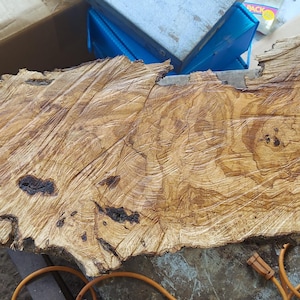 May include: A large, irregularly shaped, unfinished wooden slab with a natural edge. The wood has a light brown color with darker brown streaks and knots. The surface shows visible grain patterns and textures, suggesting it could be used for a table or decorative piece.