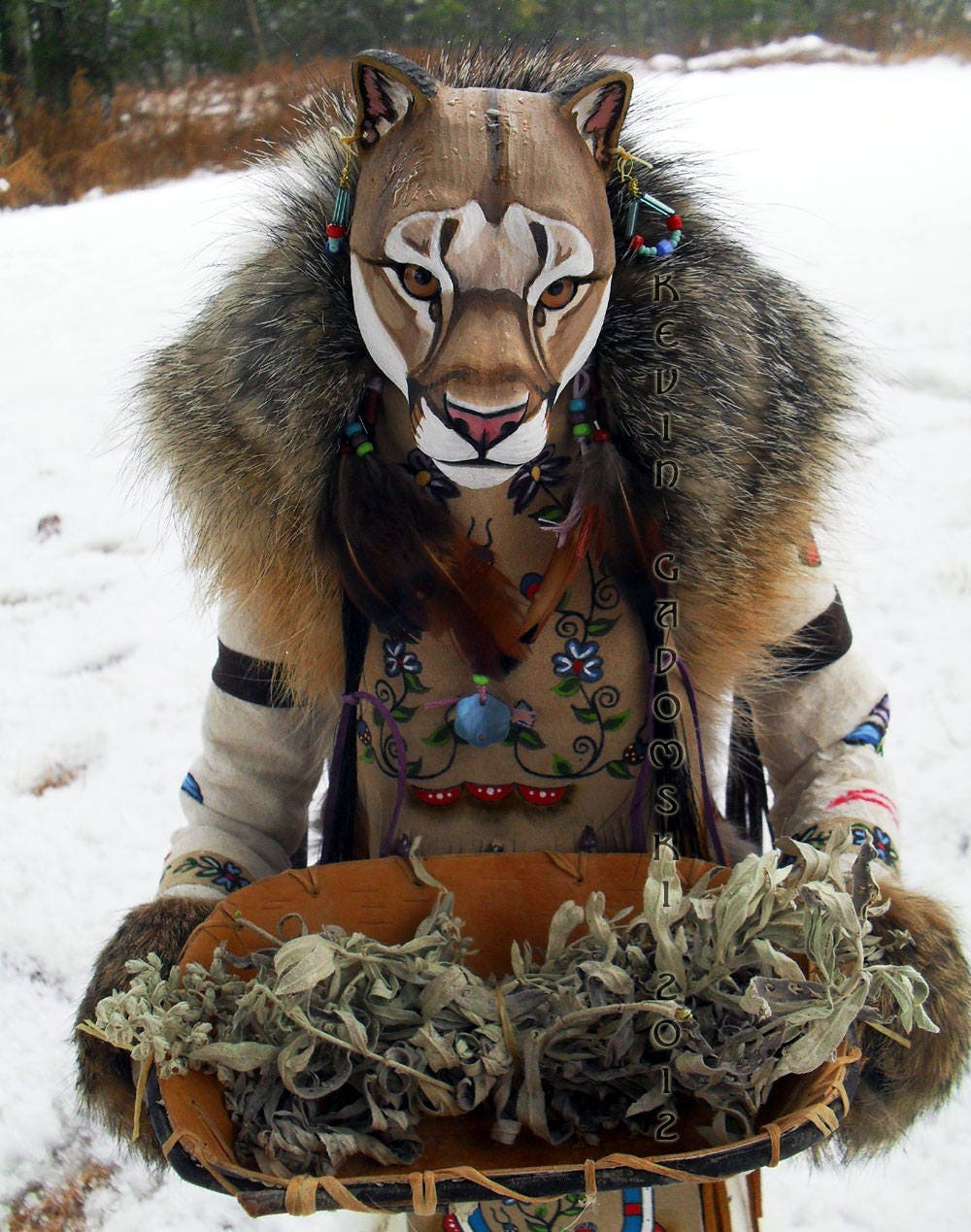 Mountain Lion Manitou