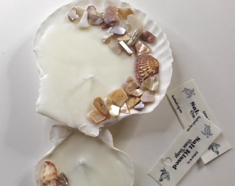 Beach Scented - Pack of 2 or 3 Shell Candles | 2” & 4” Shell Candle