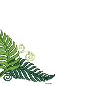 May include: A corner design featuring two green fern leaves with curled tendrils. The leaves are a dark green and light green.